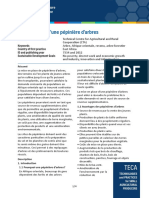 Mise en Place D'une Pépinière D'arbres PDF