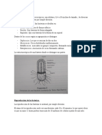 BACTERIAS Informe Exposicion