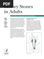 Kidney Stones Adults