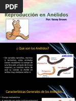 Reproducción en Anélidos PDF