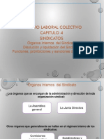 Organos Del Sindicatos PDF