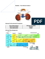 Adrenal Cortex and Medulla - The Clinical Context