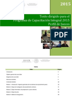 01 Texto Dirigido Perfil JUECES PDF