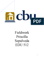 Priscilla Fieldwork 512