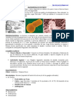 Haemophilus Ducreyi y Calimatobacterium Granulomatis