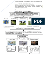 Guia 1 Ciencias Animales Vertebrados e Invertebrados