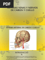 Arteriasvenasynerviosdecabezaycuello 161101041353 PDF