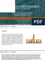 SURICATA