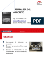 Sesión 1 Naturaleza Del Concreto 2020 PDF