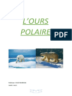 OURS Polaire