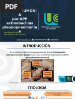 Pleuroneumoni A Por APP Actinobacillus Pleunopneomonia E: Karen Dayana Rey Niño Diego Alejandro Castro Hernández