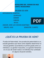 Prueba de Adn