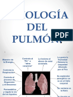 Fisiologia Del Pulmón MTCH