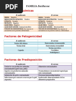 Cuadro Comparativo B y C