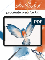 BLUEBIRD PRACTICE KIT File PDF