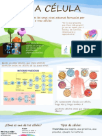 La Célula Unidad de Vida Diapositivas