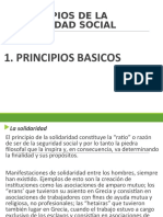 Principios Basicos Seguridad Social