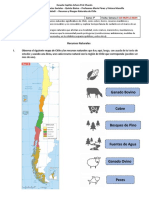 Guía #3 - Historia y Geografía - 5° Básico - Unidad 1 - Recursos y Riesgos Naturales