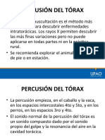 Semiologia - Percusion Del Torax