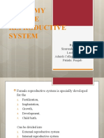 Anatomy and Physiology of Female Reproductive System