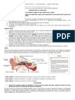 GUIA DE Audicion y Gusto