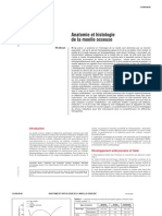 Anatomie Et Histologie de La Moelle Osseuse