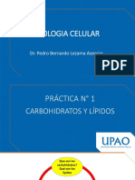 Biologia Celular: Dr. Pedro Bernardo Lezama Asencio