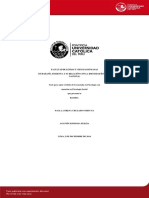 CIUDADANÍA SUBJETIVA Y SU RELACIÓN CON LA IDENTIDAD ÉTNICA Y Nacional