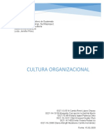 Cultura Organizacional