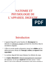 Anatomie Et Physiologie Du Systeme Digestif