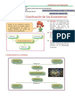 Organización y Clasificación de Los Ecosistemas