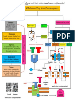 Mechanism of Drug Action PDF