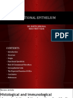 Junctional Epithelium: Dr. Ishita Singhal Mds First Year