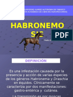 HABRONEMOSIS