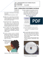 Operações Com Números Naturais 6º Ano PDF