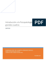 Introducción A La Psicopatología, Los Grandes Cuadros