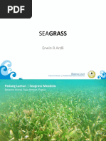 Seagrass: Erwin R Ardli