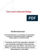 Tools Used in Molecular Biology