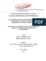 Proyecto de Investigacion Taller I Semestre Ii 2019