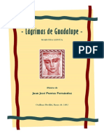 Lagrimas de Guadaupe (J.j. Puntas) PDF