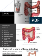 Anal Pathology