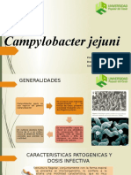 Campylobacter Jejuni