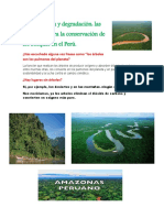 Deforestación y Degradación - Las Amenazas para La Conservación de Los Bosques en El Perú