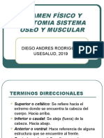 Presentacion Examen Físico y Anatomia Sistema Óseo y Muscular Usesalud