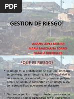 Expo Gestion de Riesgo