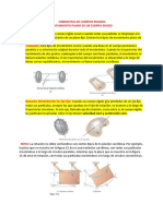 Cinematica de Cuerpos Rigidos