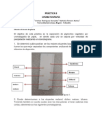 Cromatografía de Extracto de Plantas