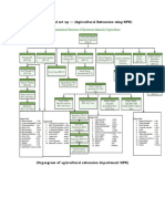 Organizational Set Up