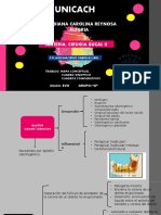 Mapas Conceptuales CX - Diana Carolina Reynosa Alegria