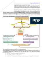 Infecciones Del Tracto Gastrointestinal, Generalidades